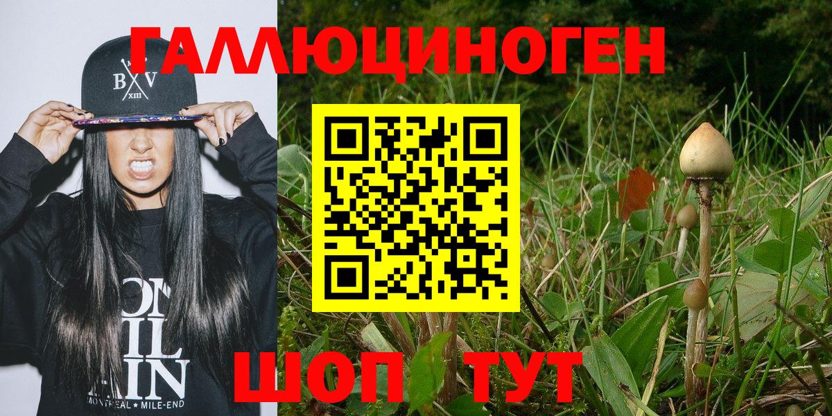 Псилоцибиновые грибы Cubensis  Вход с VPN  Кстово 